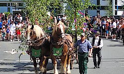 27. Maibaum 2024